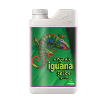Advanced Iguana