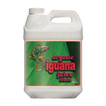 Organic Iguana Juice Bloom 10L