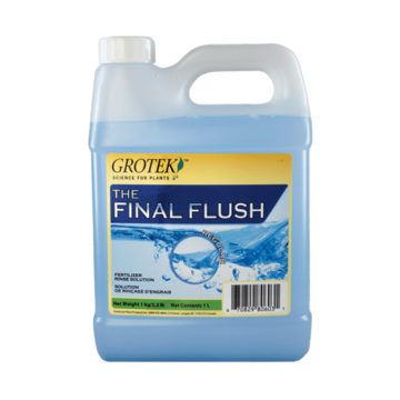 Final Flush Regular