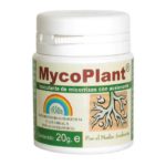 mycoplant-trabe-20gr