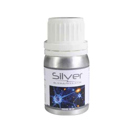 Silver Bloomstimulator 