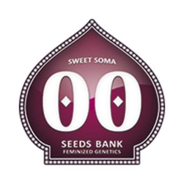 Sweet Soma 00 Seeds 01