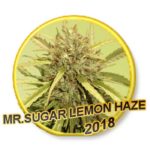 mr-sugar-lemon-haze-mr-hide-seeds