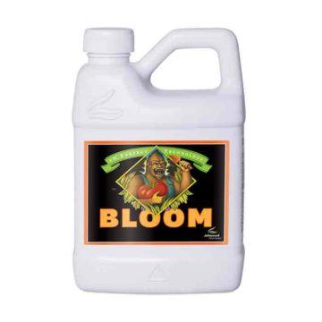 Ph Perfect Bloom 500 Ml
