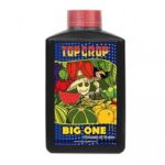 big-one–top-crop-1L