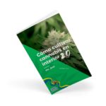 911286_como-cultivar-cannabis-interior-2.0