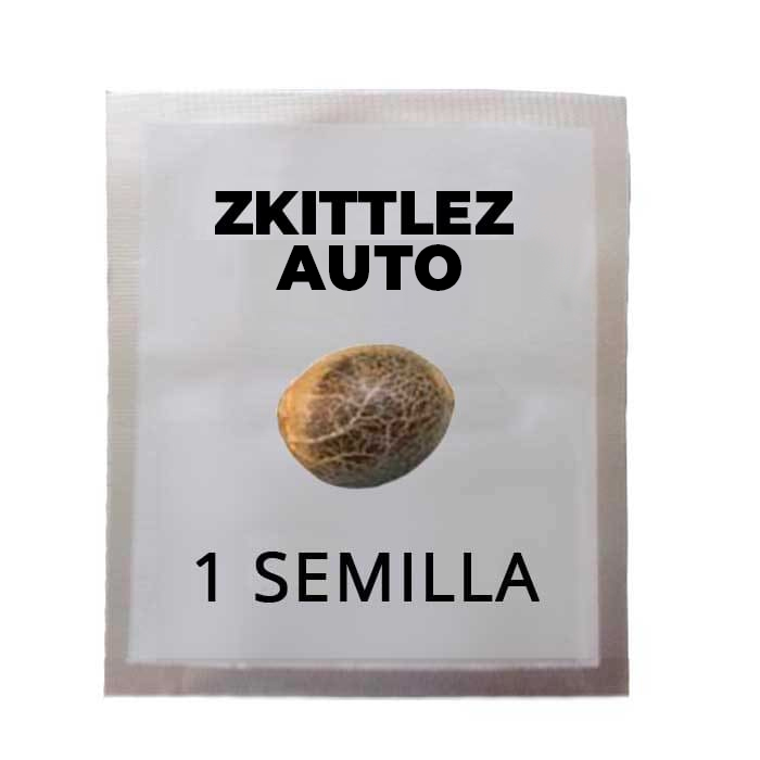 semilla-zkittlez-auto