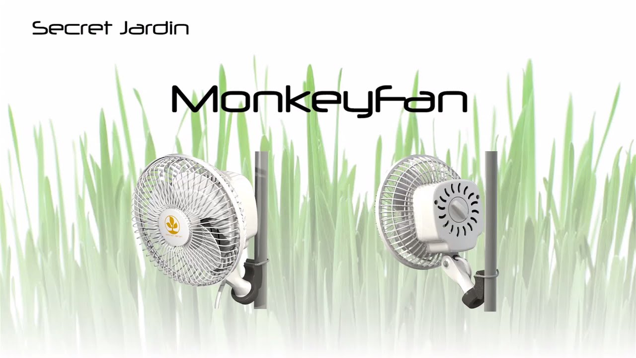 Monkey Fan ventilador de aire | Secret Jardin
