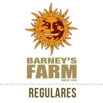 Regulares Barneys Farm