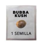 semilla-bubba-kush
