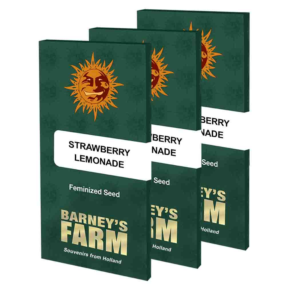 Strawberry Lemonade semillas feminizadas | Barneys Farm