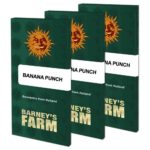 banana-punch-barney_farms-02