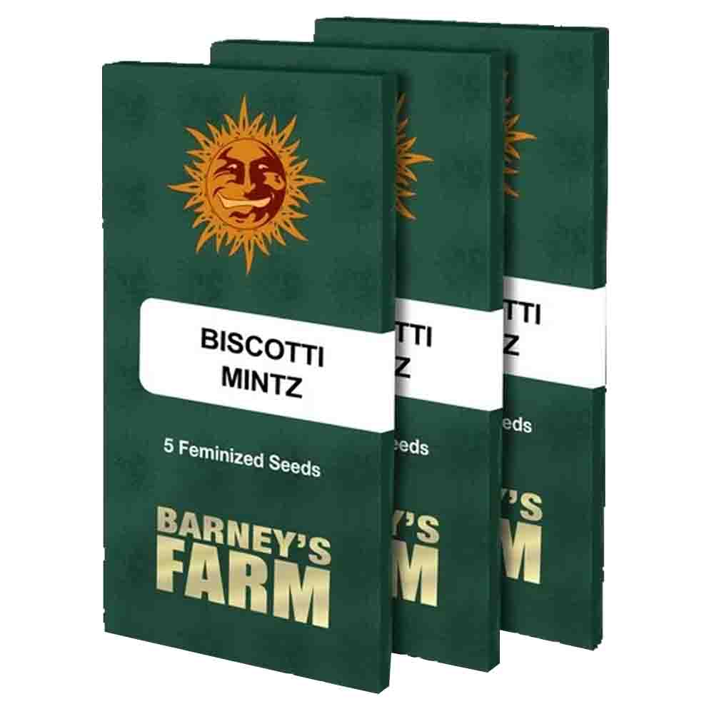 Biscotti Mintz semillas feminizadas | Barneys Farm