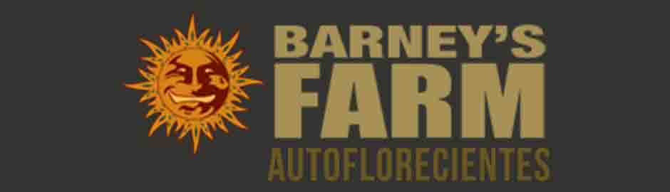 Autoflorecientes Barneys Farm