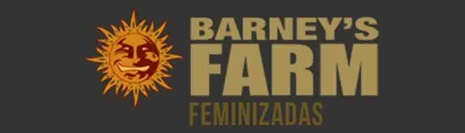 Feminizadas Barneys Farm