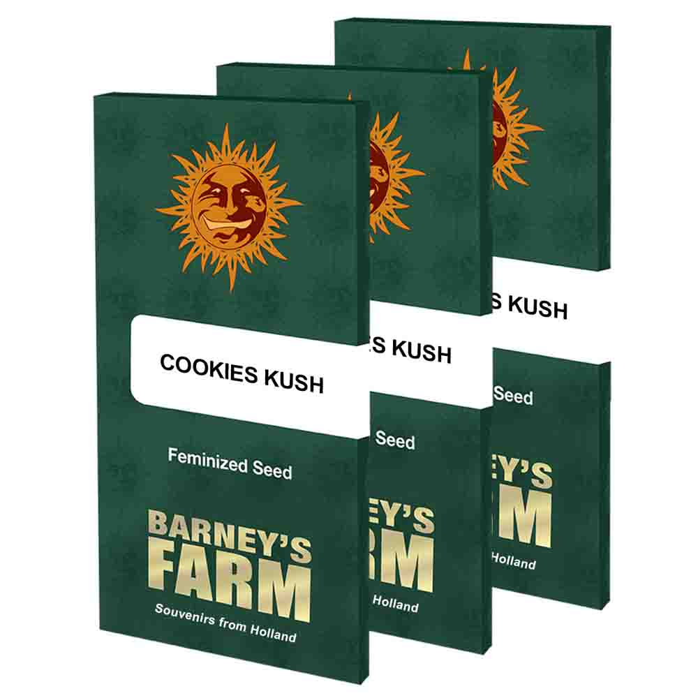 Cookies Kush semillas feminizadas | Barneys Farm