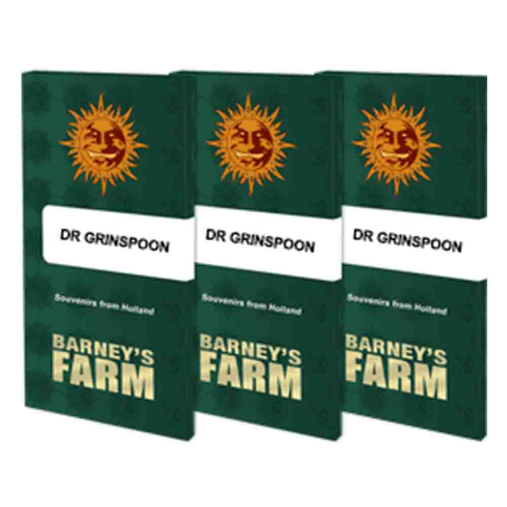 Dr Grinspoon semillas feminizadas | Barneys Farm