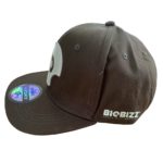 regalo-gorra-biobizz
