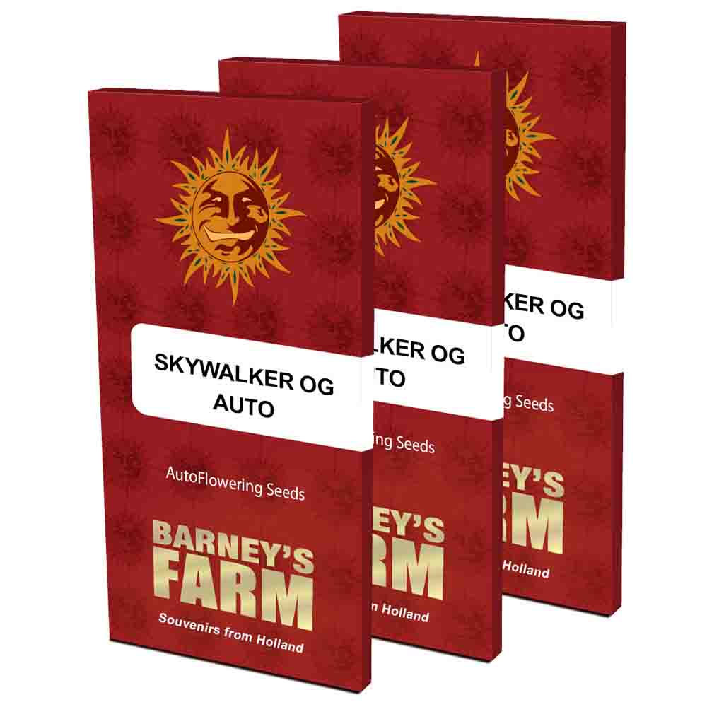 Skywalker OG Auto semillas autoflorecientes | Barneys Farm
