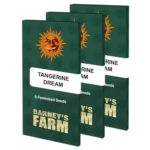 tangerine-dream-barney_farms-02