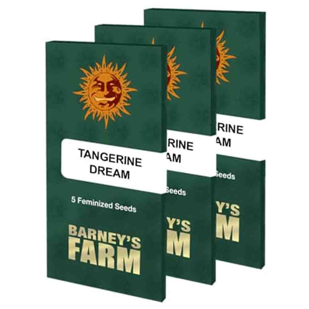 Tangerine Dream semillas feminizadas | Barneys Farm