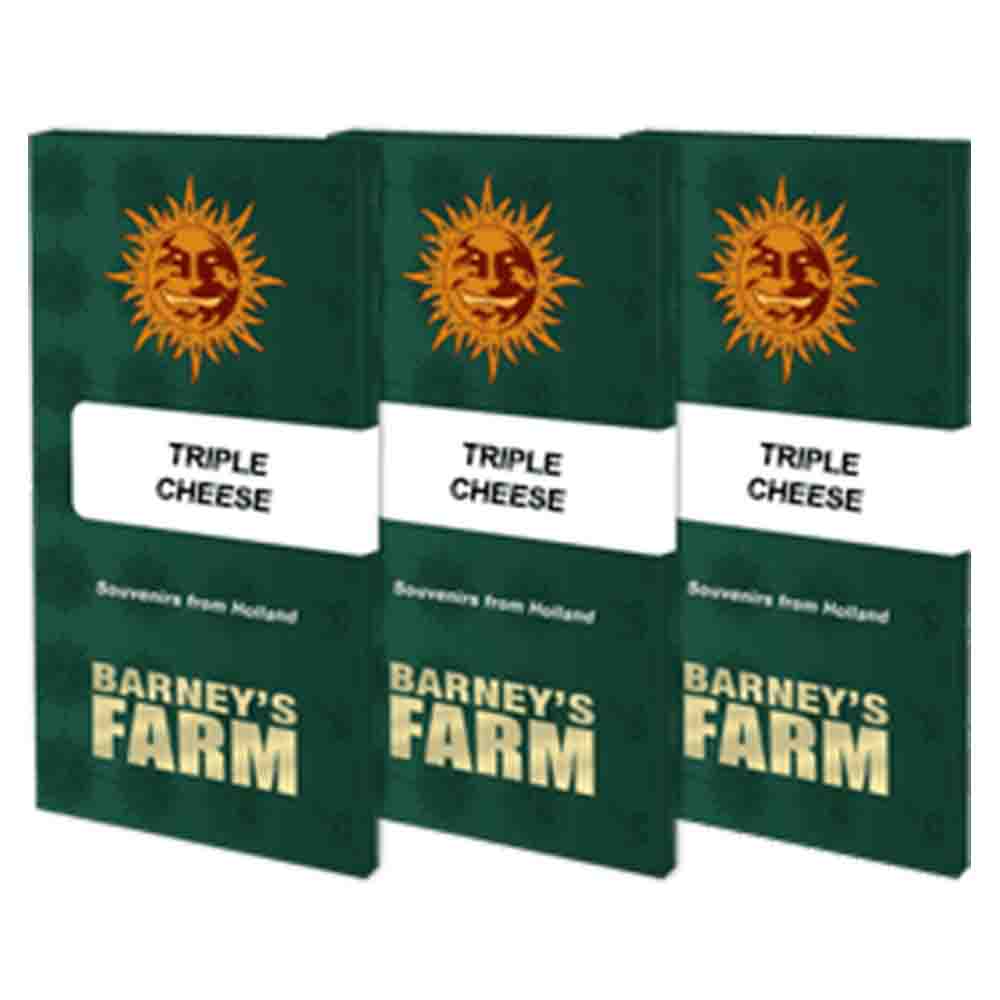 Triple Cheese semillas feminizadas | Barneys Farm