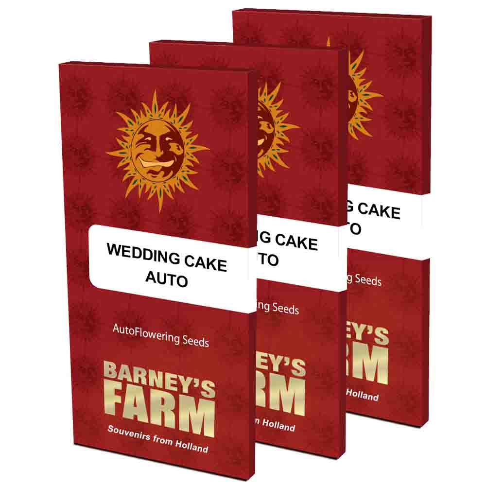 Wedding Cake Auto semillas autoflorecientes | Barneys Farm