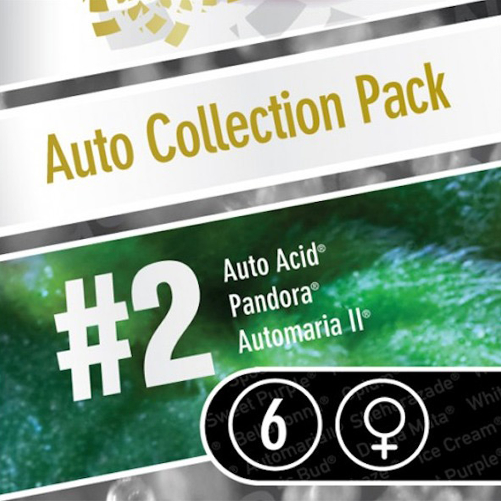 auto-collection-pack-2