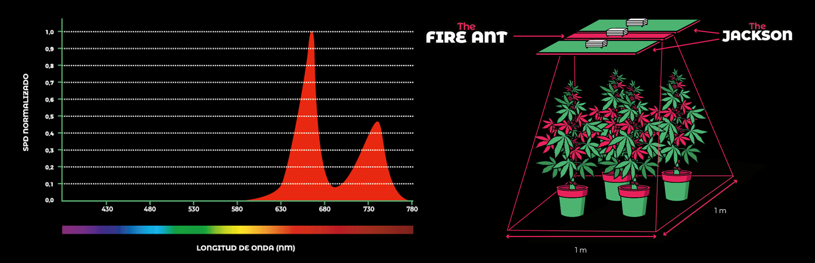 LED Efecto Emerson The Fire Ant 20W