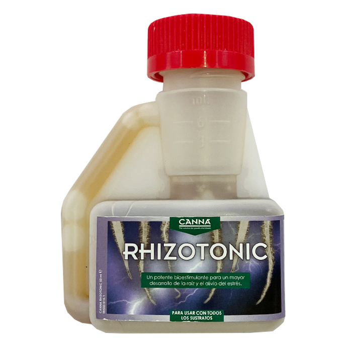 rhizotonic