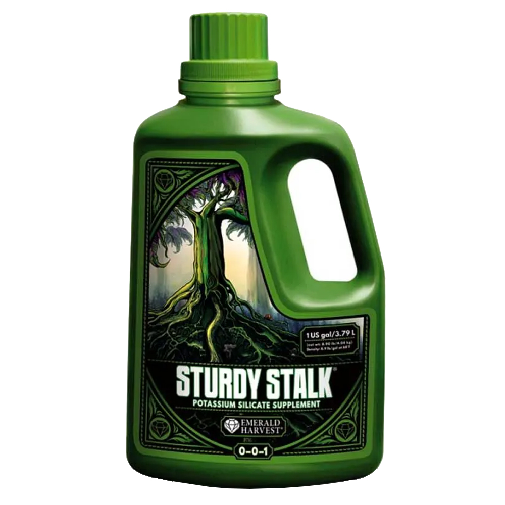 sturdy-stalk-05