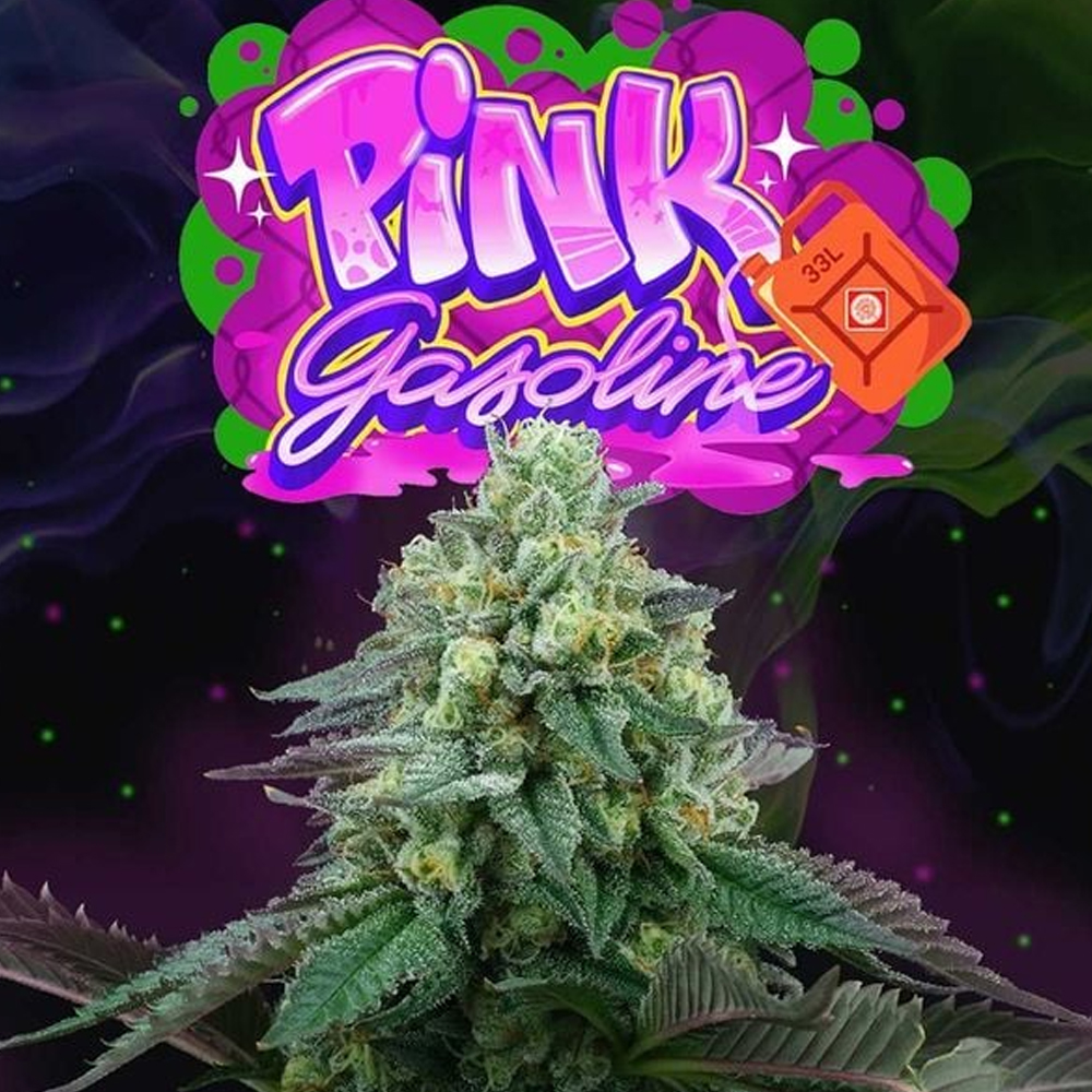Pink-Gasoline-6-u-fem-Perfect-Tree
