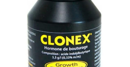 Clonex Gel hormona enraizamiento