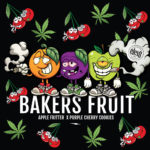 Bakers Fruit semillas feminizadas | Elev8 Seeds