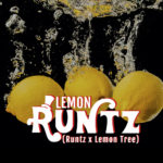 Lemon Runtz semillas feminizadas | Elev8 Seeds