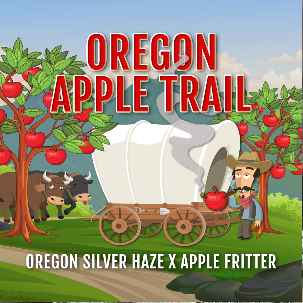Oregon Apple Trail semillas feminizadas | Elev8 Seeds