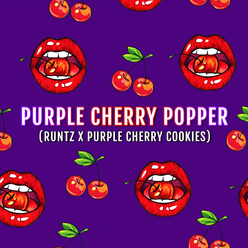 purple-cherry-popper-elev8-seeds-01