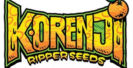 Korenji semillas feminizadas | Ripper Seeds
