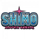 Shimo semillas feminizadas | Ripper Seeds