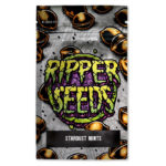 Stardust Mints edición limitada (3 semillas) | Ripper Seeds