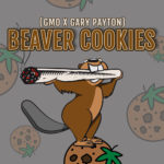 Beaver Cookies semillas feminizadas | Elev8 Seeds