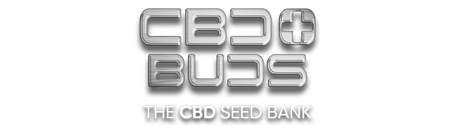 CBD + Buds