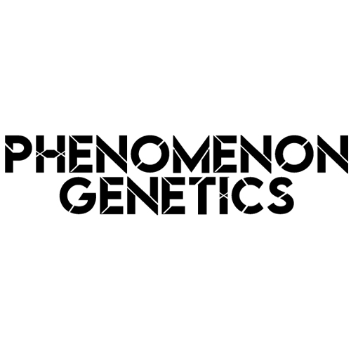 Phenomenom Genetics