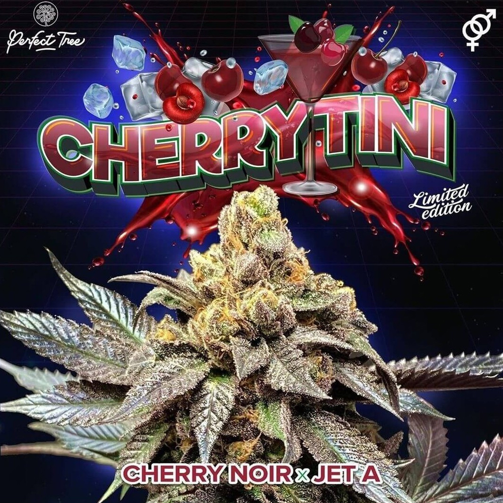 Cherrytini S1 semillas feminizadas 6 uds. | Perfect Tree Seeds