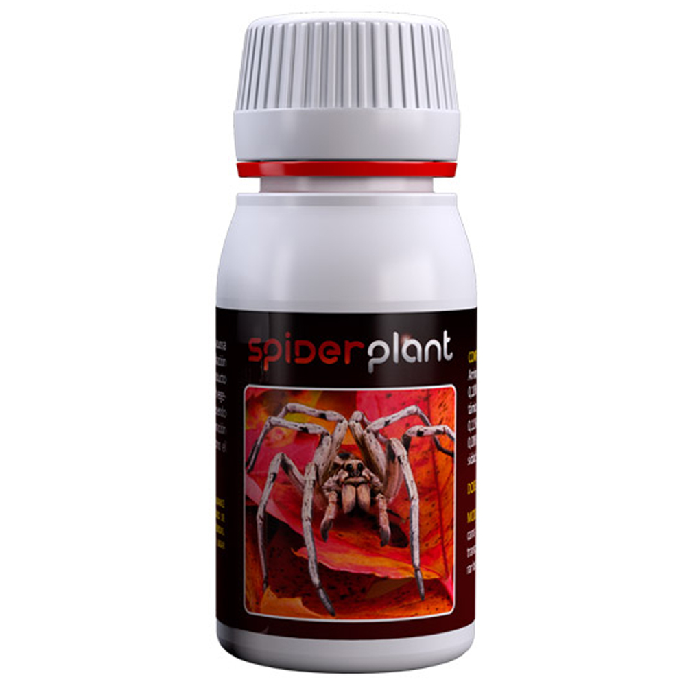 Spider Plant contra ácaros BIO | Agrobacterias