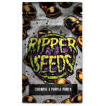 Chempie x Purple Punch edición limitada (3 semillas) | Ripper Seeds