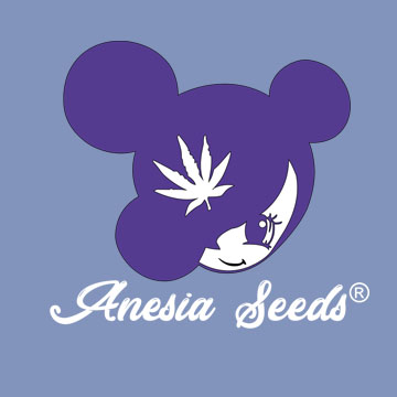 Anesia Seeds