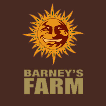 Barneys Farm