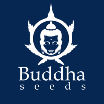 Buddha Seeds