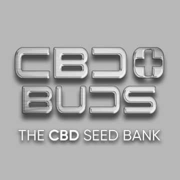 CBD + Buds